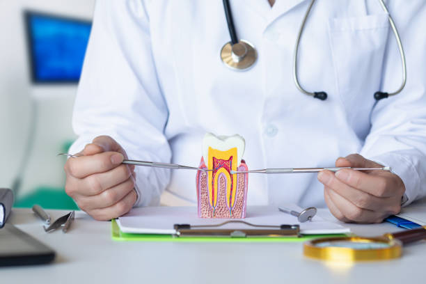 Best Emergency Dentist for Lost Fillings or Crowns in Chebanse, IL